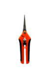 Gemini_Generated_Image_tlljcbtlljcbtllj